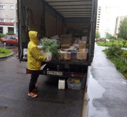 Апатиты - Великий Новгород